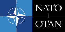 NATO_BiH_Banner_230x115_20130510.jpg