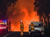 ŠTA SE DOGAĐA U AUSTRALIJI: U velikim požarima izgorjelo više kuća, jedna osoba u bolnici