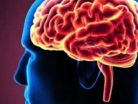 OTKRIĆE KOJE BI MOGLO PROMIJENITI SVE: Istraživanje pokazalo šta se događa u ljudskom mozgu prije smrti…
