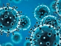 ISTRAŽIVANJE DALO NEOČEKIVANE REZULTATE: Jesu li moderni sojevi gripe direktni potomci virusa…