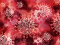 TAMAN KAD SMO MISLI DA JE GOTOVO: Novi soj koronavirusa otkriven u Švedskoj, za sada je nepoznato...