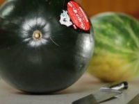 POMAMA ZA 'KRALJICOM' LJETA: Densuke lubenica na aukciji prodana za čak...