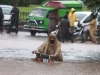 KATASTROFA U PAKISTANU: Od posljedica obilnih padavina smrtno stradalo šest osoba, u akcijama spašavaju učestvuje i vojska