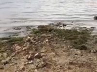 JEZIVI PRIZORI: Povlači se veliko jezero zbog suše, u njemu pronalaze sve više tijela (VIDEO)