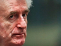 DRAMATIČNO UPOZORENJE: 'Srbija i Rusija pokušavaju omogućiti Karadžiću da ne služi kaznu...'