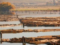 MEGAPROJEKT KAKAV DO SADA NIJE VIĐEN: Amerikanci s rijeke uklanjaju čak četiri brane...