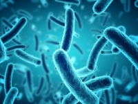 POZNATA DOKTORICA UPOZORAVA: Ovi dijelovi ljudskog tijela ne peru se često, a leglo su bakterija…