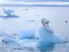 KATASTROFALNE POSLJEDICE ZA ČOVJEČANSTVO: Arktik bi do 2030. mogao ostati bez leda