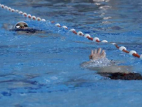 VIC DANA: Odveo Hercegovac familiju na bazen, a kad je sina pokušao naučiti da pliva – urnebes…