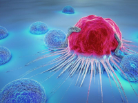 NEOČEKIVANO OTKRIĆE: Znanstvenici otkrili potencijalnu novu terapiju u liječenju raka koja uključuje…
