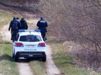 PREVOZIO JE 17 MIGRANATA:  Srbijanac bježao policiji u Hrvatskoj, udario u stablo i preminuo