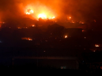 PROGLAŠENO VANREDNO STANJE: U šumskim požarima u Čileu poginulo deset osoba