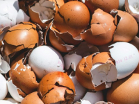 AKO STE SE PITALI GDJE SA OVAKVOM VRSTOM OTPADA, EVO RJEŠENJA: Ljuske jaja mogu se iskoristiti kao gnojivo za biljke