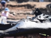 U SRED EUROPE ARHEOLOZI PRONAŠLI DIVOVSKE CIPELE: Ko ih je mogao nositi