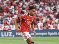 NAPUSTIO TEREN PROTIV NEWCASTLEA: Benfica objavila detalje o povredi reprezentativca BiH