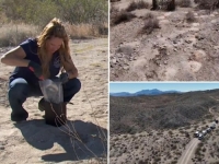 ŠOKANTNO OTKRIĆE: U pustinji blizu Las Vegasa pronađene hrpe pepela, prema prvim izvještajima sumnja se...