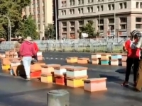 U ROJ, U ROJ, ZA NAROD SVOJ: Pčelari protestovali, pčele 'napale' policajce (VIDEO)