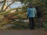 OLUJA MALIK HARA SJEVERNOM EVROPOM: Lomi stabla i stubove za električnu energiju, valovi na moru do SEDAM METARA, poginulo više osoba... (FOTO, VIDEO)