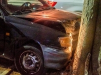 MALOLJETNICI UKRALI AUTOMOBIL, PA BJEŽALI POLICIJI: Zaustavilo ih stablo!