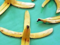 VIŠESTRUKA KORIST: Koru od banane iskoristite na pravi način