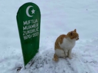 ODOLIJEVA SNIJEGU I HLADNOĆI: Mačak muftije Zukorlića i dalje na mezaru svog preminulog vlasnika