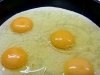 SVE JE GOTOVO ZA 5 MINUTA: Dovoljno je samo da pokrijte tortilju jajima, pogledajte kako se sprema vrhunski doručak… (VIDEO)