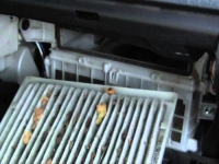 MOŽE BITI VRLO OPASNO: Ukoliko ovo primijetite, odmah se uputite u servis ili sami zamijenite filter-kabine u automobilu…