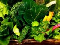 KORISNI SAVJETI: Namirnice koje će doprinijeti bržem oporavku vaših pluća