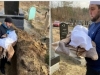 DŽENAZA MALOM AMIRU, BEBI OD 40 DANA: Sa roditeljima se skrivao u bunkeru u Harkovu