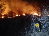 OGROMAN POŽAR KOD GACKA: Ugrožena niskonaponska mreža (VIDEO)