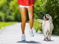 NAJLAKŠE MRŠAVLJENJE: Pet savjeta za topljenje do 50 posto više kalorija hodanjem