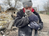 STRAVIČAN ZLOČIN: U ruskom napadu na selo Markalivka ubijeno pet članova iste porodice
