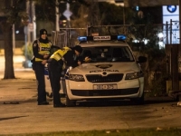 UŽAS U SUSJEDSTVU: Psi izgrizli ženu, zadobila teške povrede