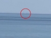 TRENUCI STRAHA: Brodovi duhova na pučini izazvali paniku u Odesi (VIDEO)