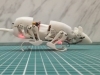 ČUČI, STOJI, HODA, PUŽE...: Kinezi razvili specijaliziranog robotskog štakora, pogledajte ga na djelu... (VIDEO)