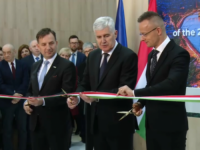 SERVILNI ČOVIĆ: 'Uvjerljiva Orbanova pobjeda...'
