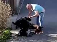 PO NALOGU TUŽILAŠTVA: Uhapšen muškarac osumnjičen da je pretukao ženu i njenog psa (VIDEO)