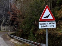 PRATIO ZNAKOVE: Uhapšen muškarac na Palama, za tri dana ukrao...
