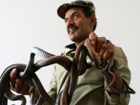 ZALJUBLJENIK U ZMIJE: Jordanac više od 30 godina živi sa ovim ljubimcima, ljubav prenio i na kćerku