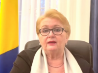 KAD VAM BISERA KAŽE: Turković pozvala dijasporu da glasa na Općim izborima