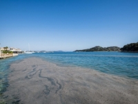 INSEKTI OBOJILI MORE: Dalmatinci ostali u čudu - 'Nikada ništa slično nismo vidjeli'