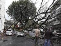 JAKO NEVRIJEME POHARALO NJEMAČKU. Poginula jedna, povrijeđeno 40 osoba