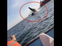 DRAMATIČAN VIDEO KRUŽI INTERNETOM: Kit napao brodić, povrijeđeno više putnika (VIDEO)