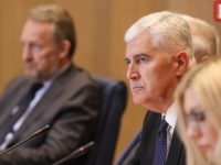 ČOVIĆU SVE I SVAKO SMETA: 'Ministrica Turković hoda po svijetu, predstavlja...'