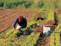 HRVATSKO UDRUŽENJE POSLODAVACA: Nedostaje nam najmanje milion radnika
