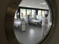 JOŠ I OVO: U Evropi se širi rijetka infekcija majmunskih boginja