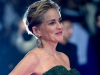 IZBOR SHARON STONE: U Cannesu u perfektnom izdanju izazvala pravu 'malu ludnicu', a evo i zašto (FOTO)