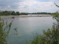 UŽAS KOD BIJELJINE: U Drini pronađeno tijelo muškarca
