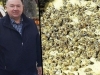 TAKVO ŠTA NE PAMTI U 20 GODINA: Veliki pomor pčela u bh. susjedstvu