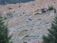 PROTESTNO OKUPLJANJE ISPRED DEPONIJE UBORAK: 'I pored tužbe i nedostatka dozvole kopaju nove rupe i kasete...'